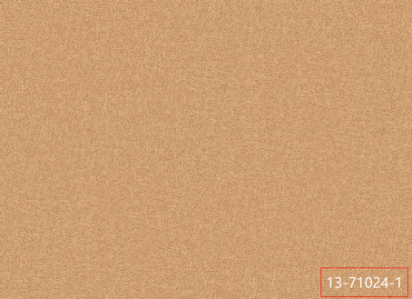 13-71024-1