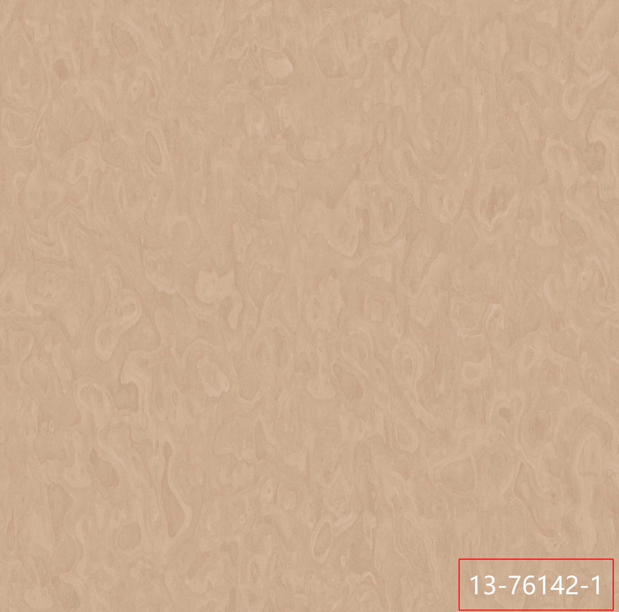 13-76142-1