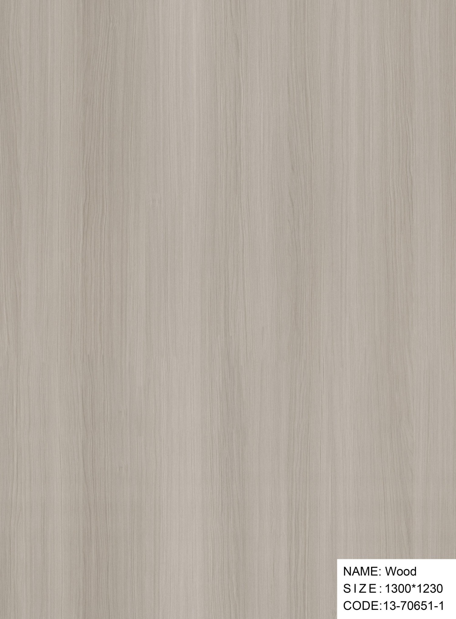 13-70651-1