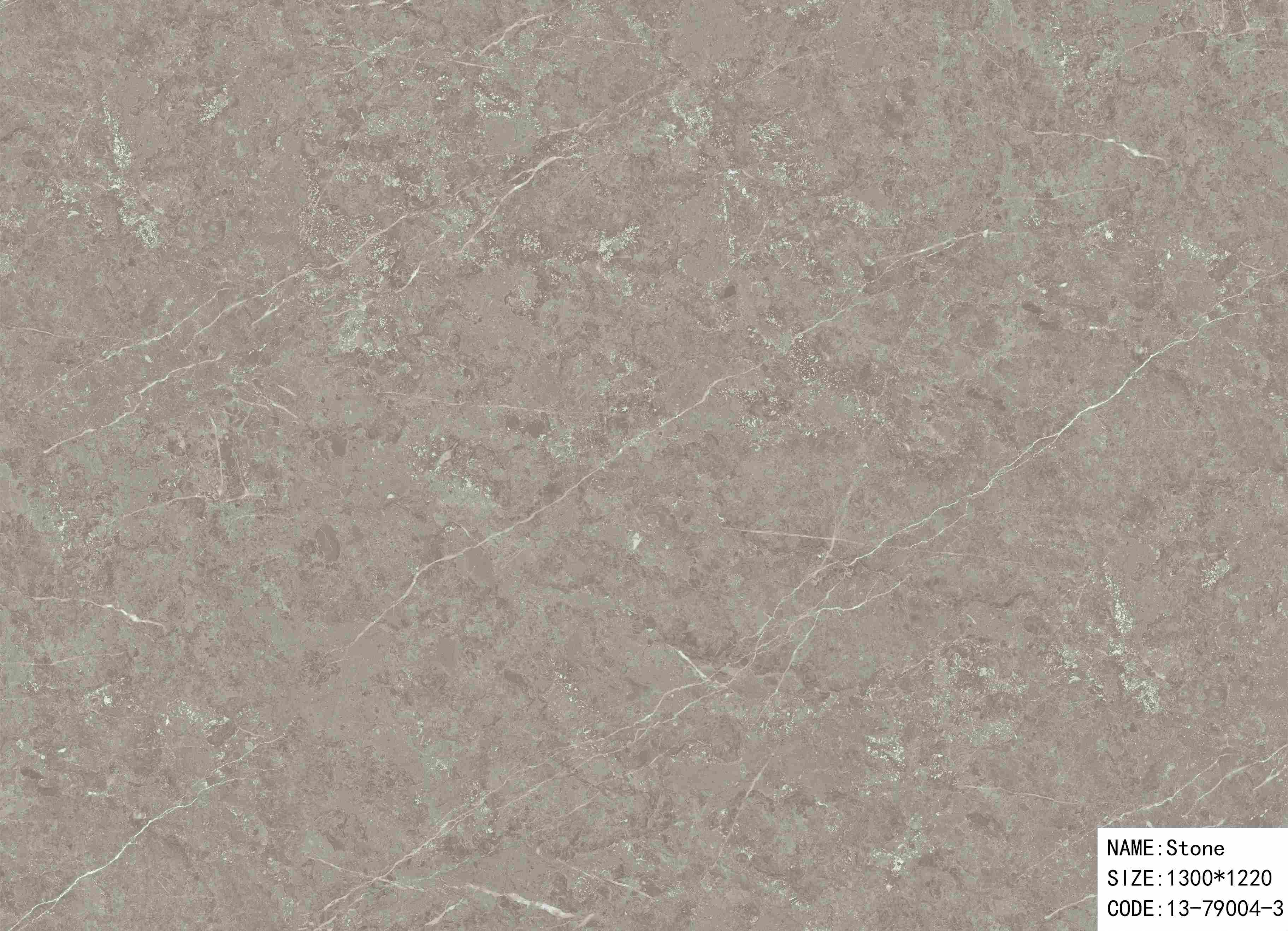 13-79004-3